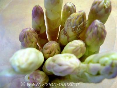 Asperges blanches