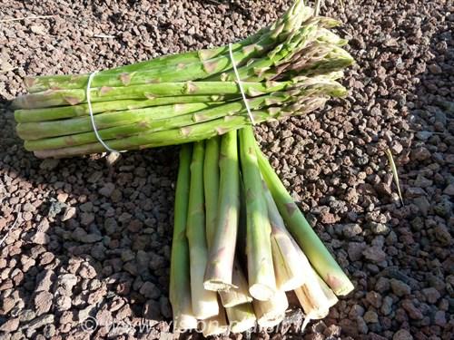 Blog de cuisine avec la cuisson des asperges vertes.