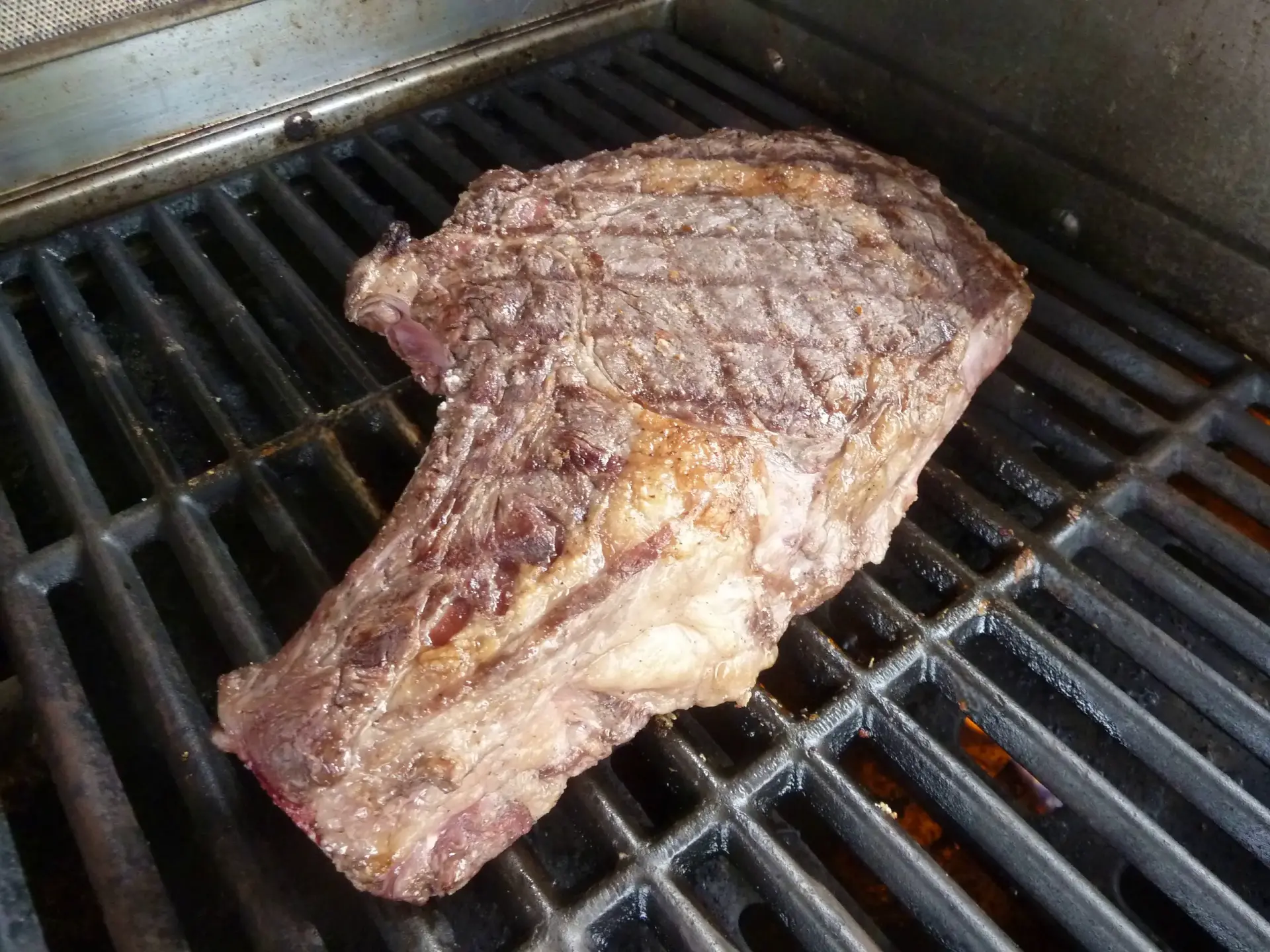 Aubrac et la cote de boeuf