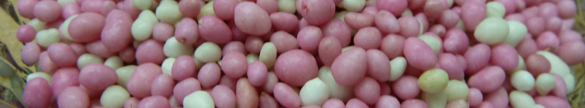 Bonbons de muisjes