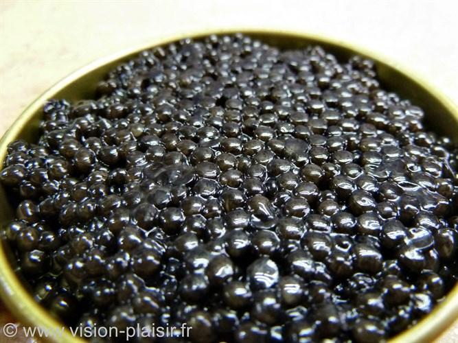 caviar