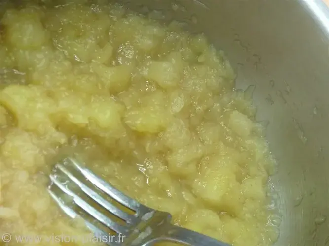 Compote de pommes mini chaussons aux pommes