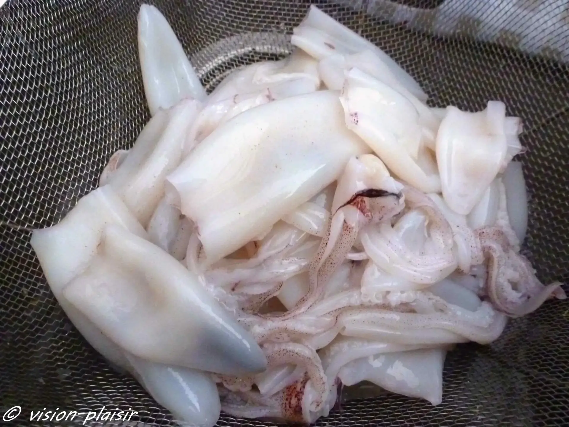 Encornets