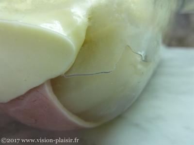 Endive