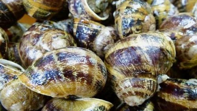 Ma recette des cagouilles à la Charentaise.