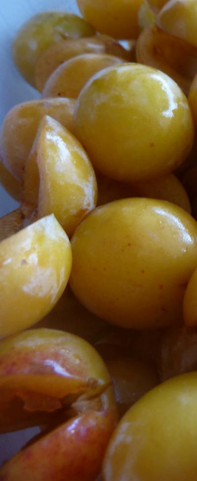 Fruits mirabelles