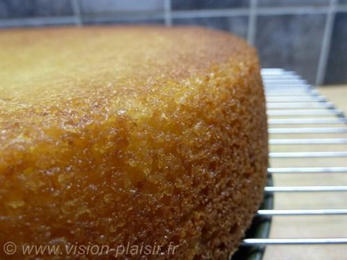 Gâteau au Citron et Vin Doux : Une Fusion Divine de Fraîcheur Citronnée et de Subtilité Vinicole