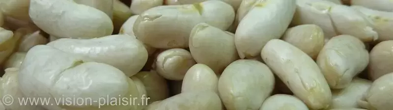 Haricots blancs 1