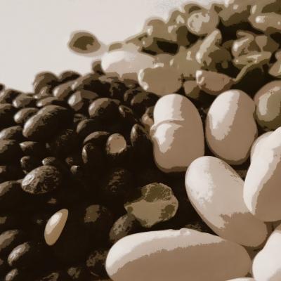 Legumes secs fruits