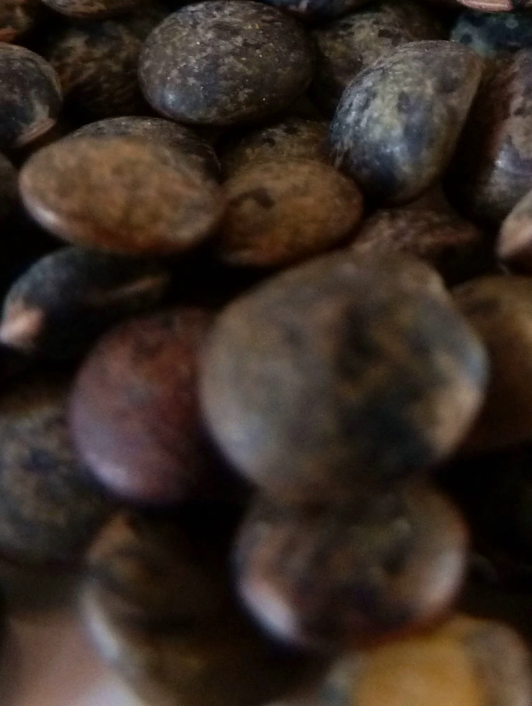 Legumes secs proteines glucides 01