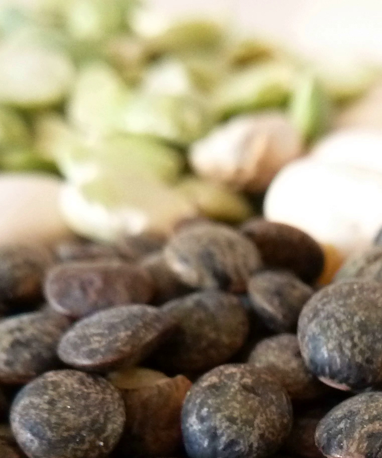 Legumes secs proteines glucides 02