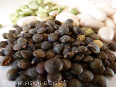 Legumes secs proteines