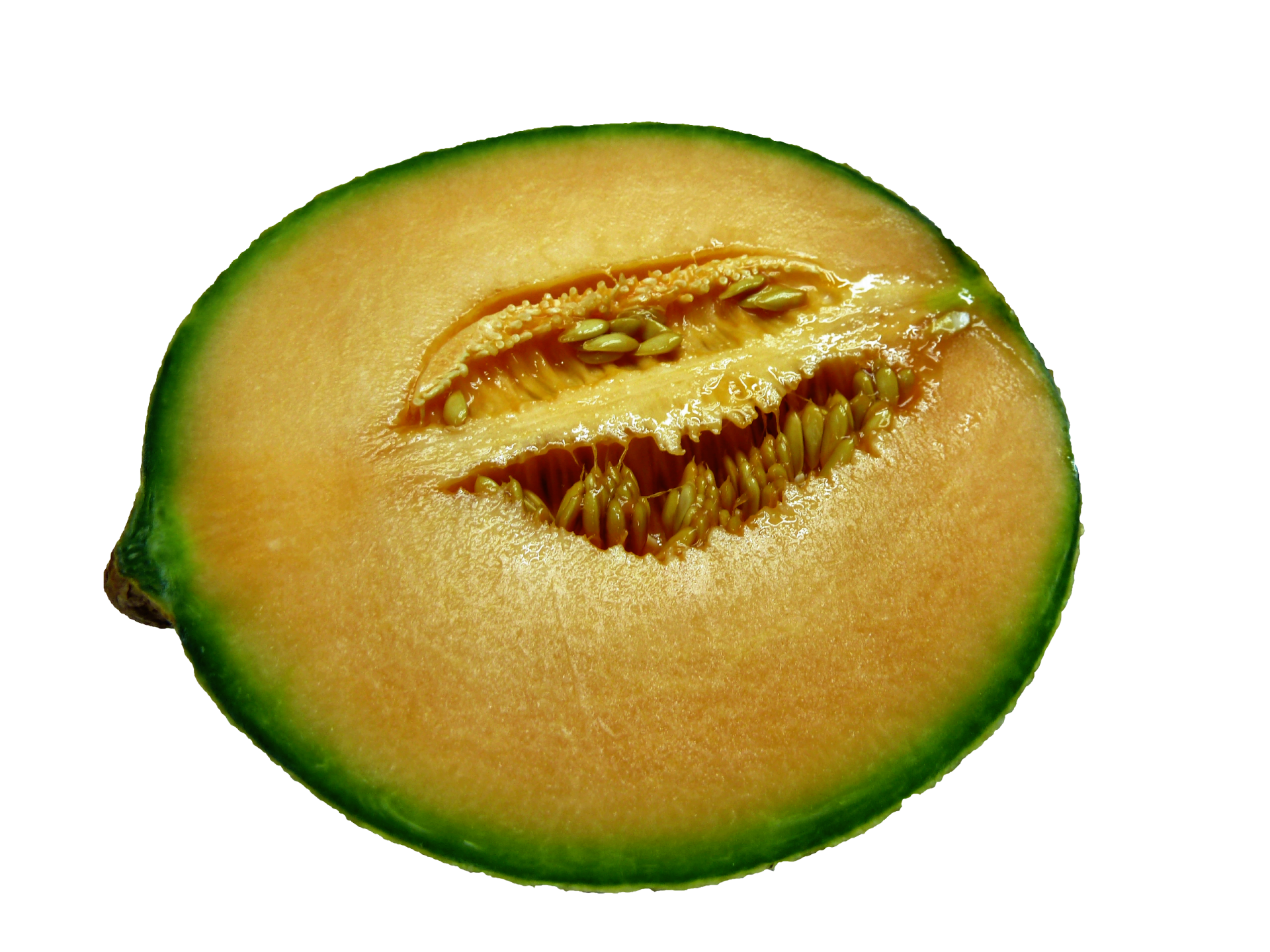 Melon