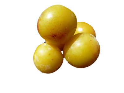 Mirabelle