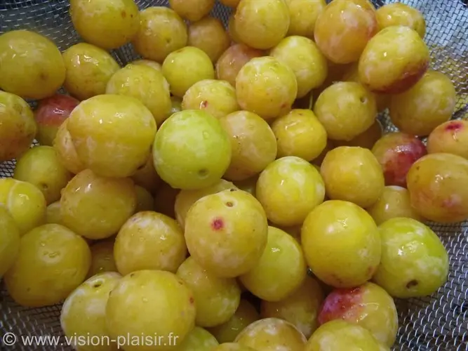 Mirabelles