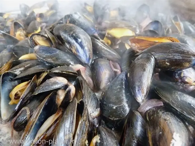 moules