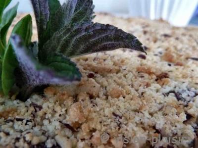 Noisette chocolat et pralin