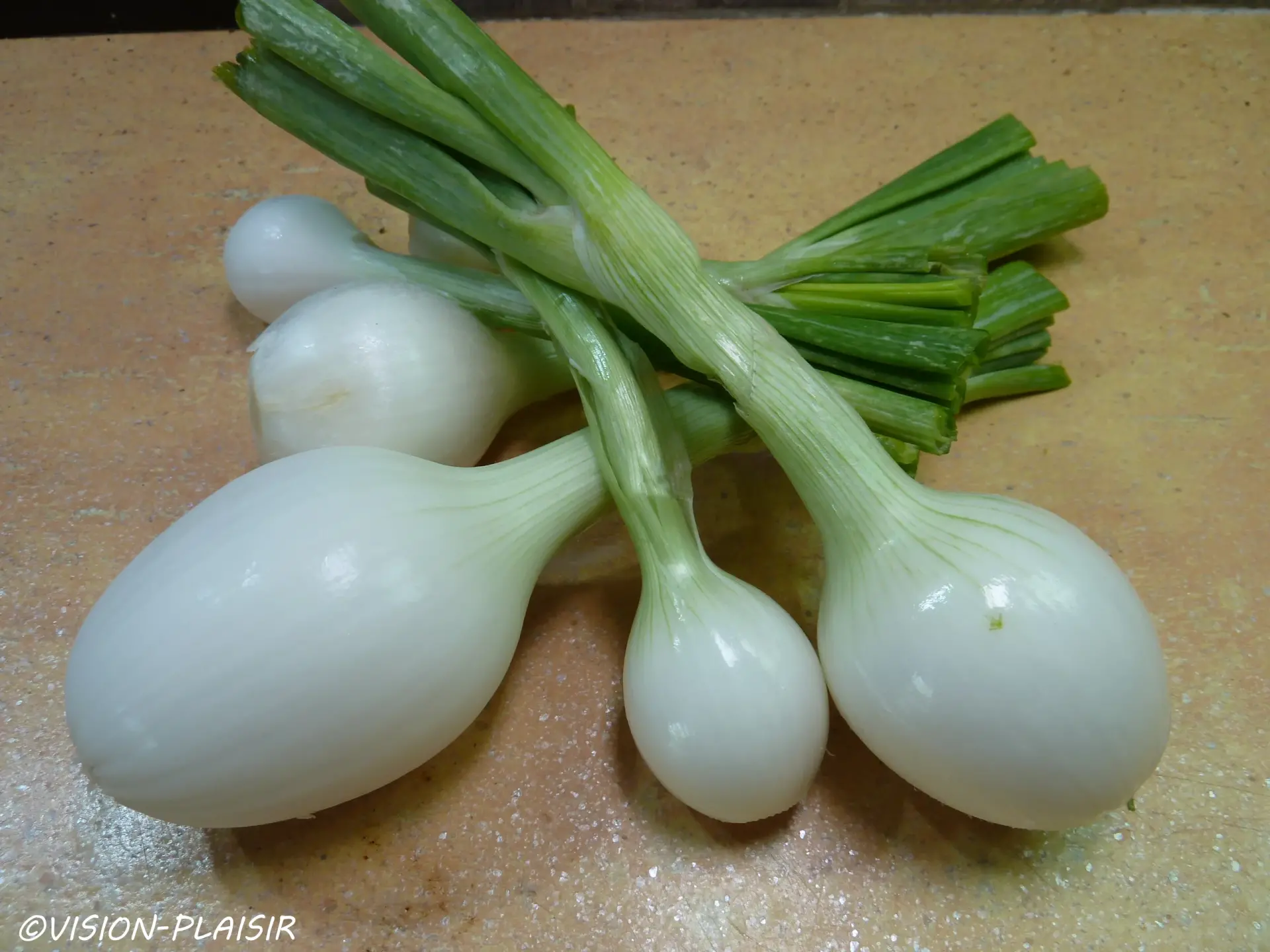 Oignons nouveaux