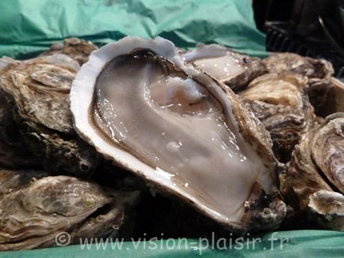 Ouverture des Huîtres : Techniques Faciles et Sécurisées