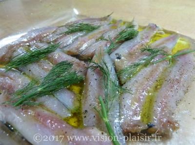 sardines