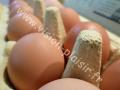 oeufs