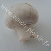 champignons de paris