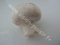 champignons de paris