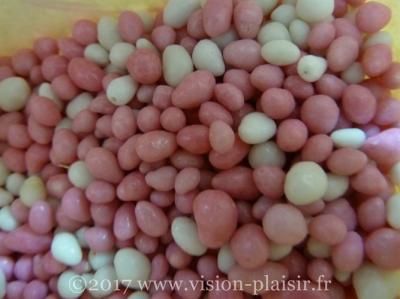 grains d'anis