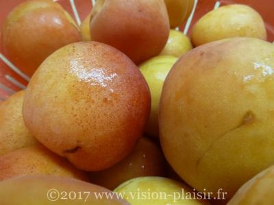 abricots-bio