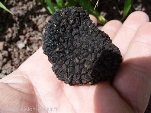 L'omelette à la truffe est un plat délicat et sophistiqué qui combine les saveurs riches et terreuses de la truffe