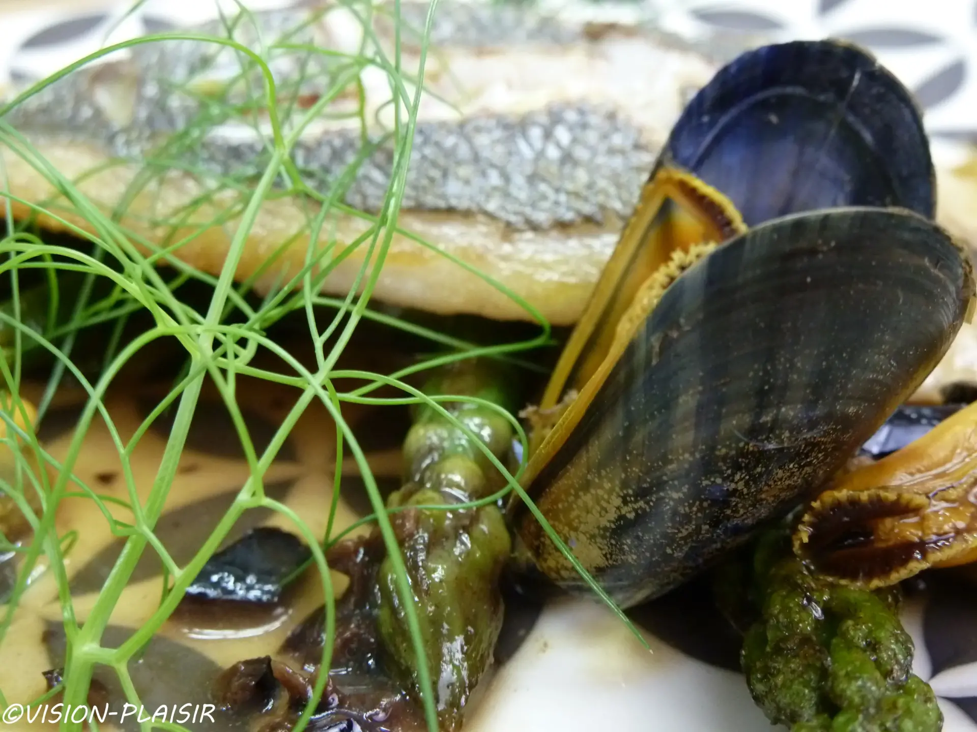 Tout savoir sur les moules et les bonnes recettes.