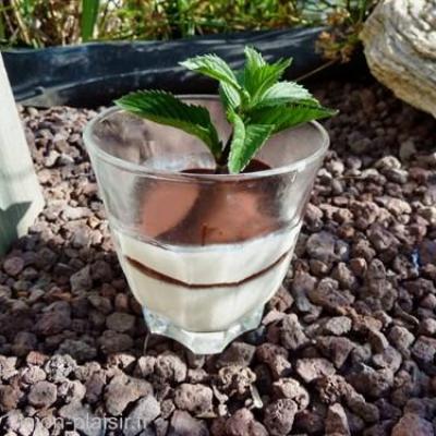 Panna cotta chocolat vanille