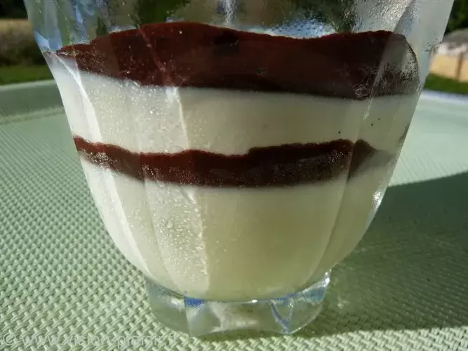 panna-cotta-vanille-chocolat-resultat