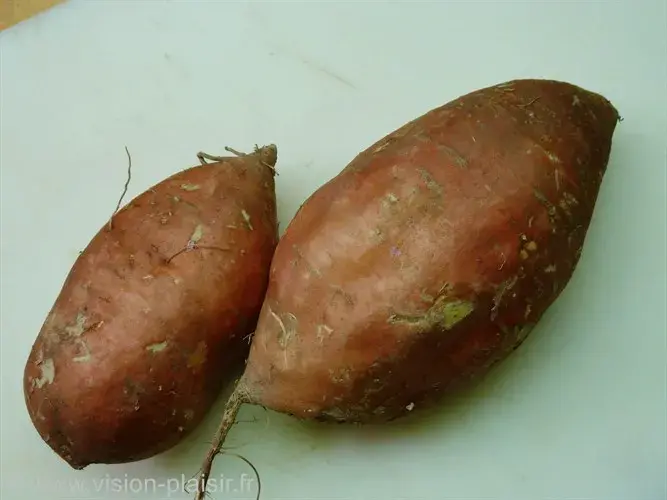 Patate douce
