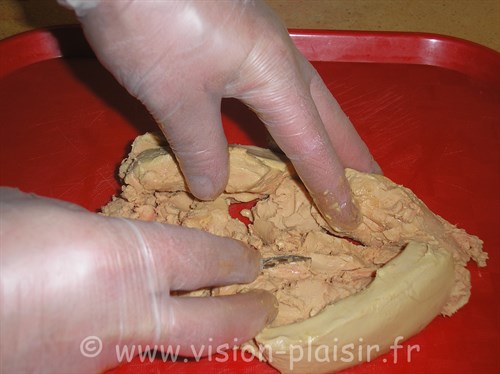 blog de vision-plaisir cuisine le foie gras