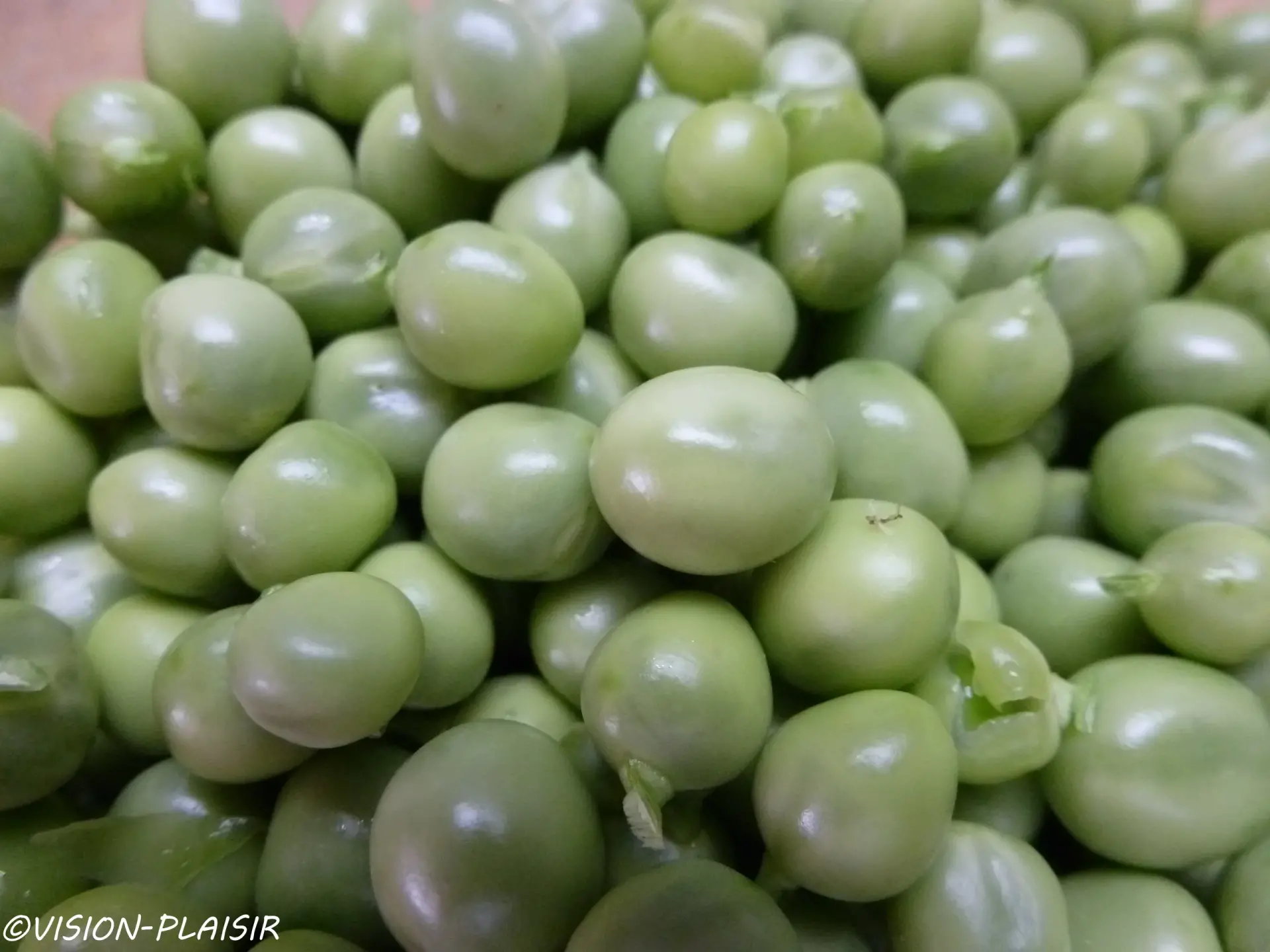 Petits pois ecossees cru