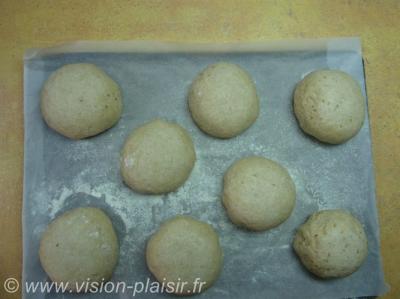 Pousse de petits burger