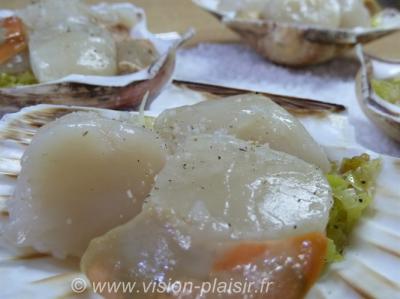 St jacques fraiche
