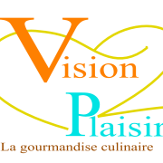 Vision plaisir logo hd 1
