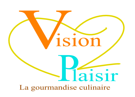 Vision plaisir logo hd