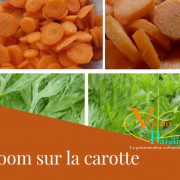 Zoom sur la carotte